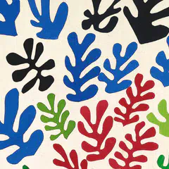 Chez Matisse Sergi Turu
