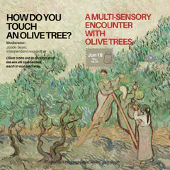 A multi-Sensory Encounter  with Olive Trees