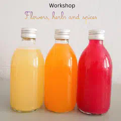 Fermented Tonic Soda Workshop in The Hague