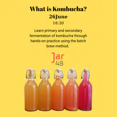 Kombucha Brewing Workshop in The Hague